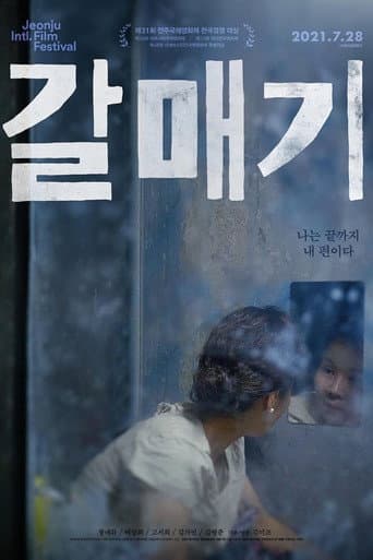 갈매기 포스터