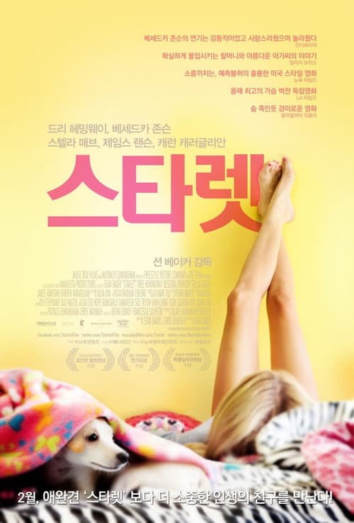 스타렛 포스터