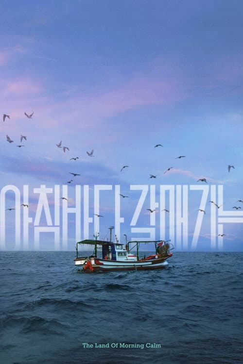 아침바다 갈매기는 포스터