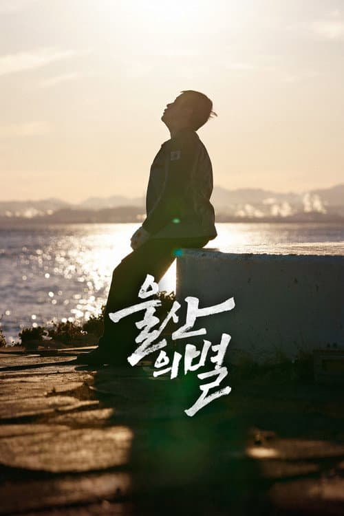 울산의 별 포스터