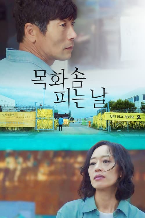 목화솜 피는 날 포스터