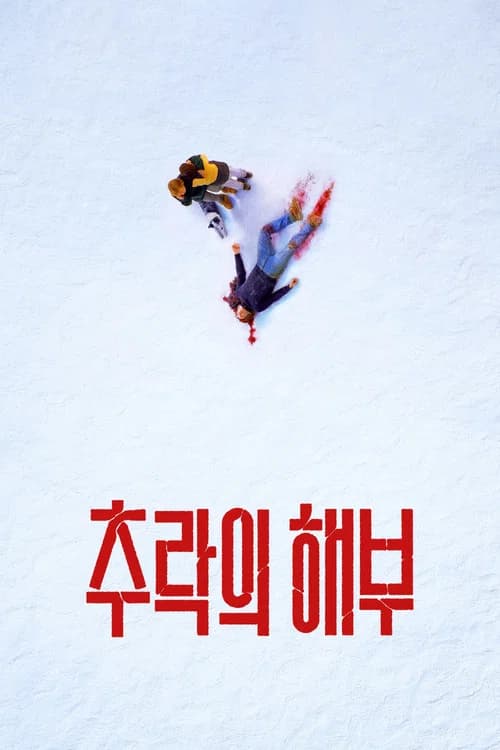 추락의 해부 포스터