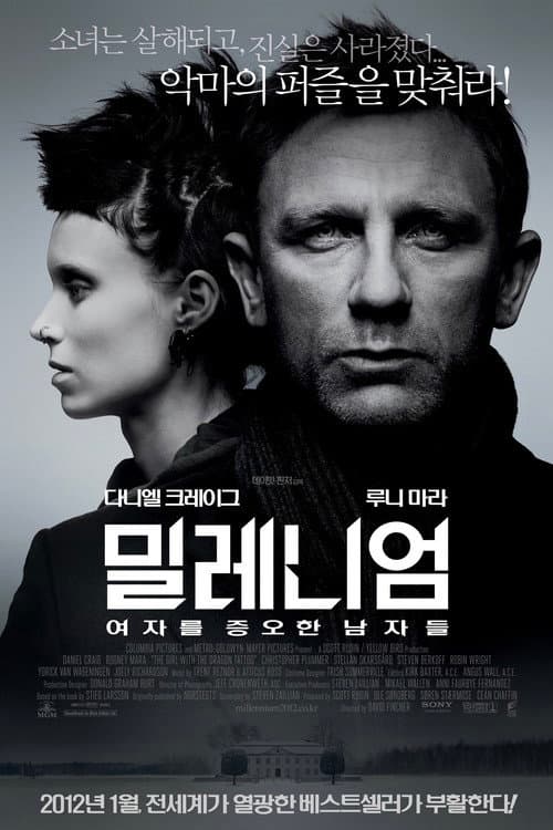 밀레니엄: 여자를 증오한 남자들 포스터