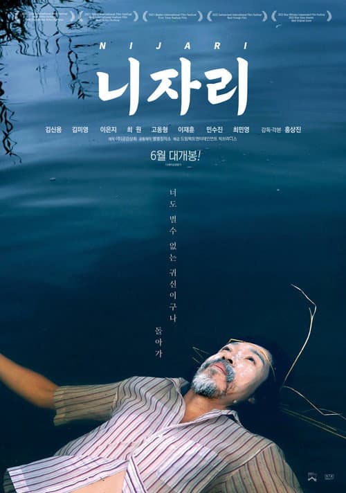 니자리 포스터