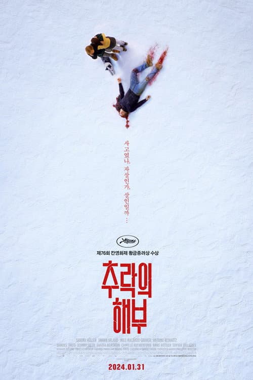 추락의 해부 포스터