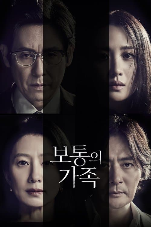 보통의 가족 포스터